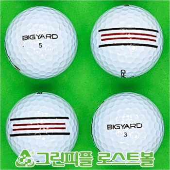 빅야드 스트레이트 화이트 2피스 B+급 로스트볼 16개