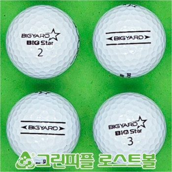 빅야드 빅스타 화이트 2피스 B+급 로스트볼 16개